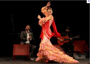 Flamenco-300x216