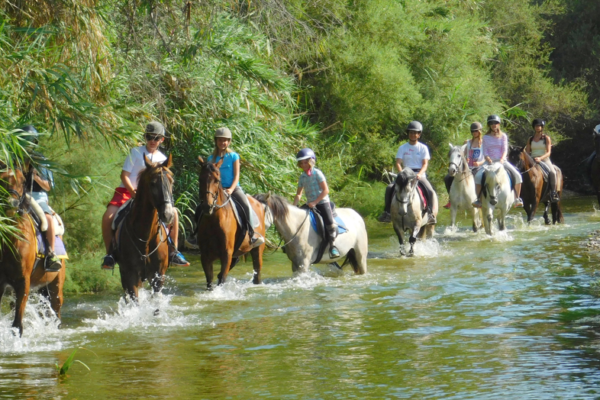 Horse-riding-river-ride-1